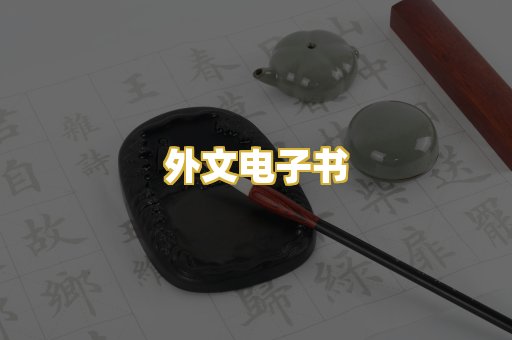 外文电子书